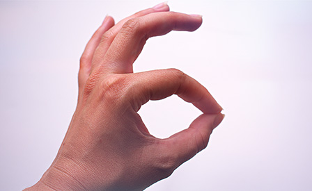  Le lingue dei segni oggi 